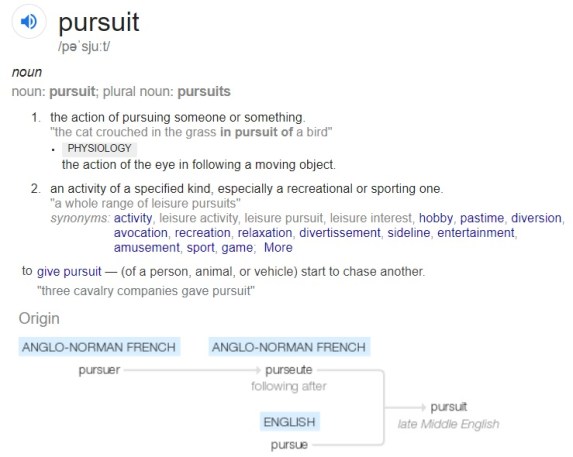 Pursuit def